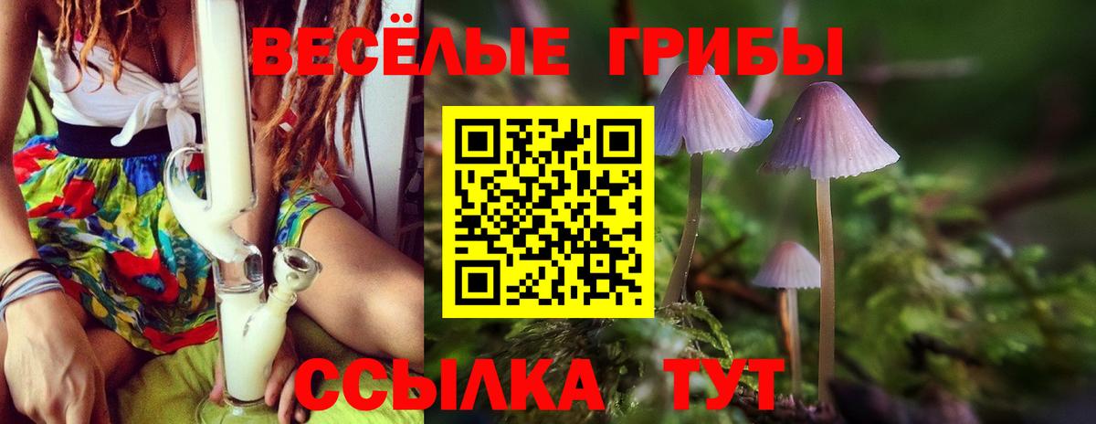 Галлюциногенные грибы мицелий Новороссийск