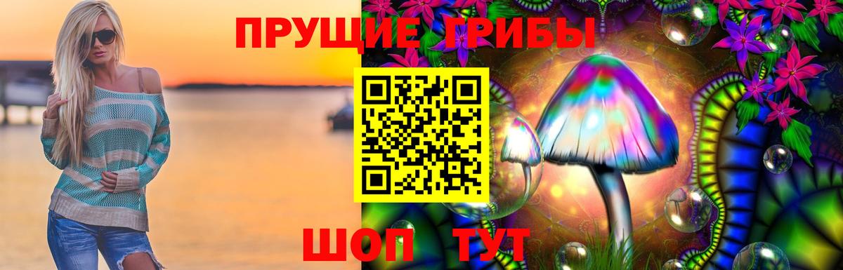 Новороссийск  купить   Вход с VPN  Галлюциногенные грибы прущие грибы 